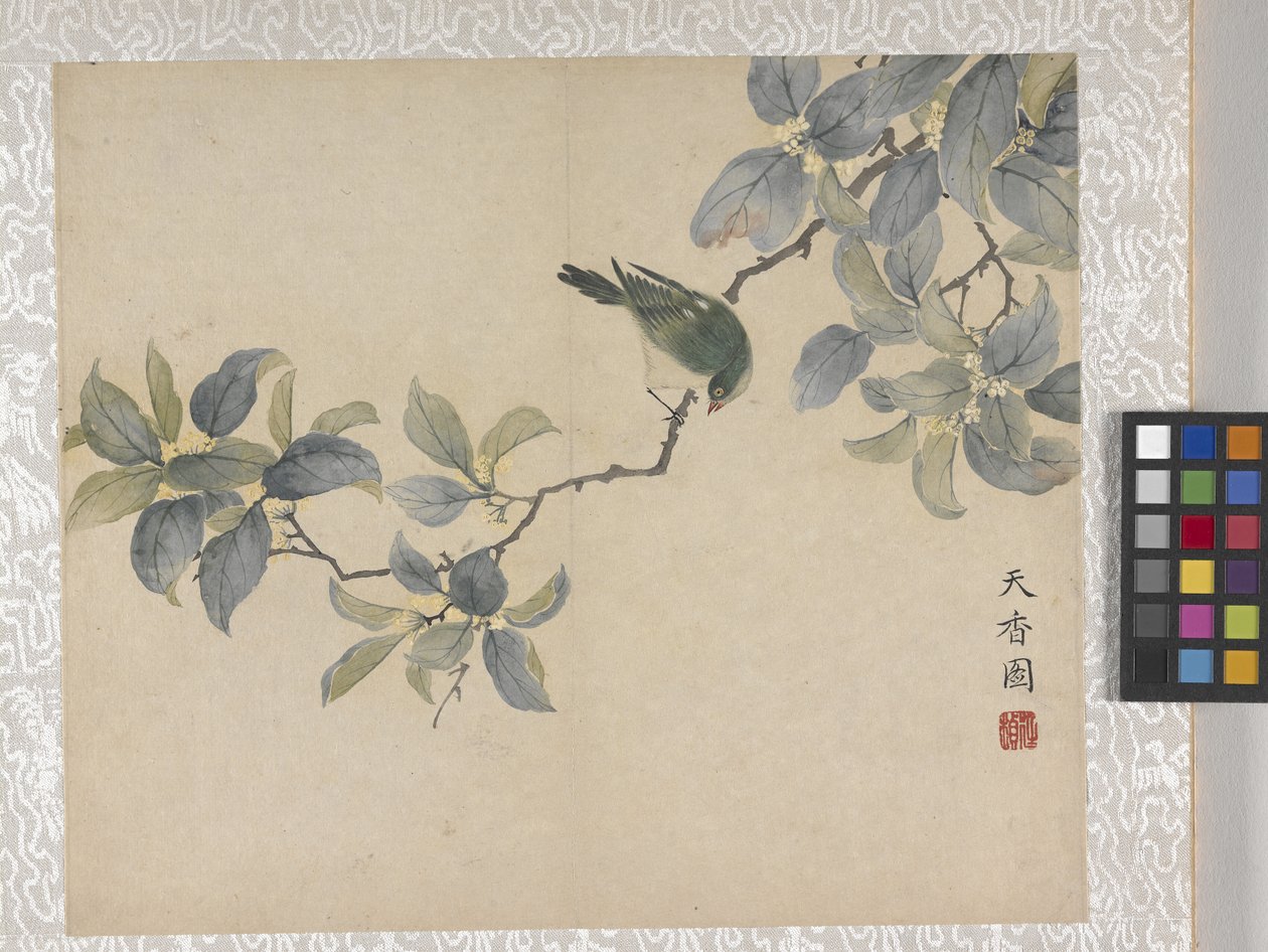 8 leveles virágalbum, 1700-as évek közepe (tinta és szín, papír) alkotó: School Chinese