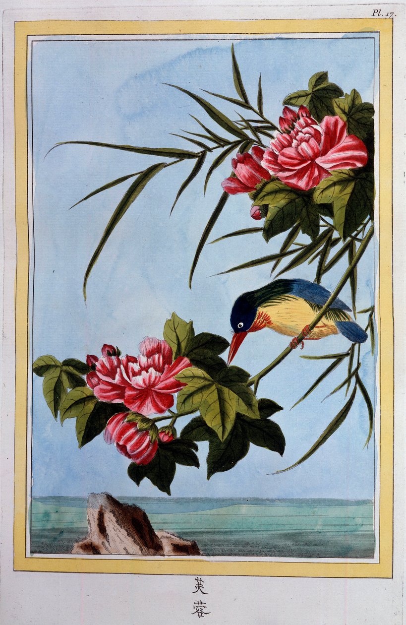 Madár ágon (Madárlégy?) 18. századi gouache Dijon, községi könyvtár alkotó: School Chinese