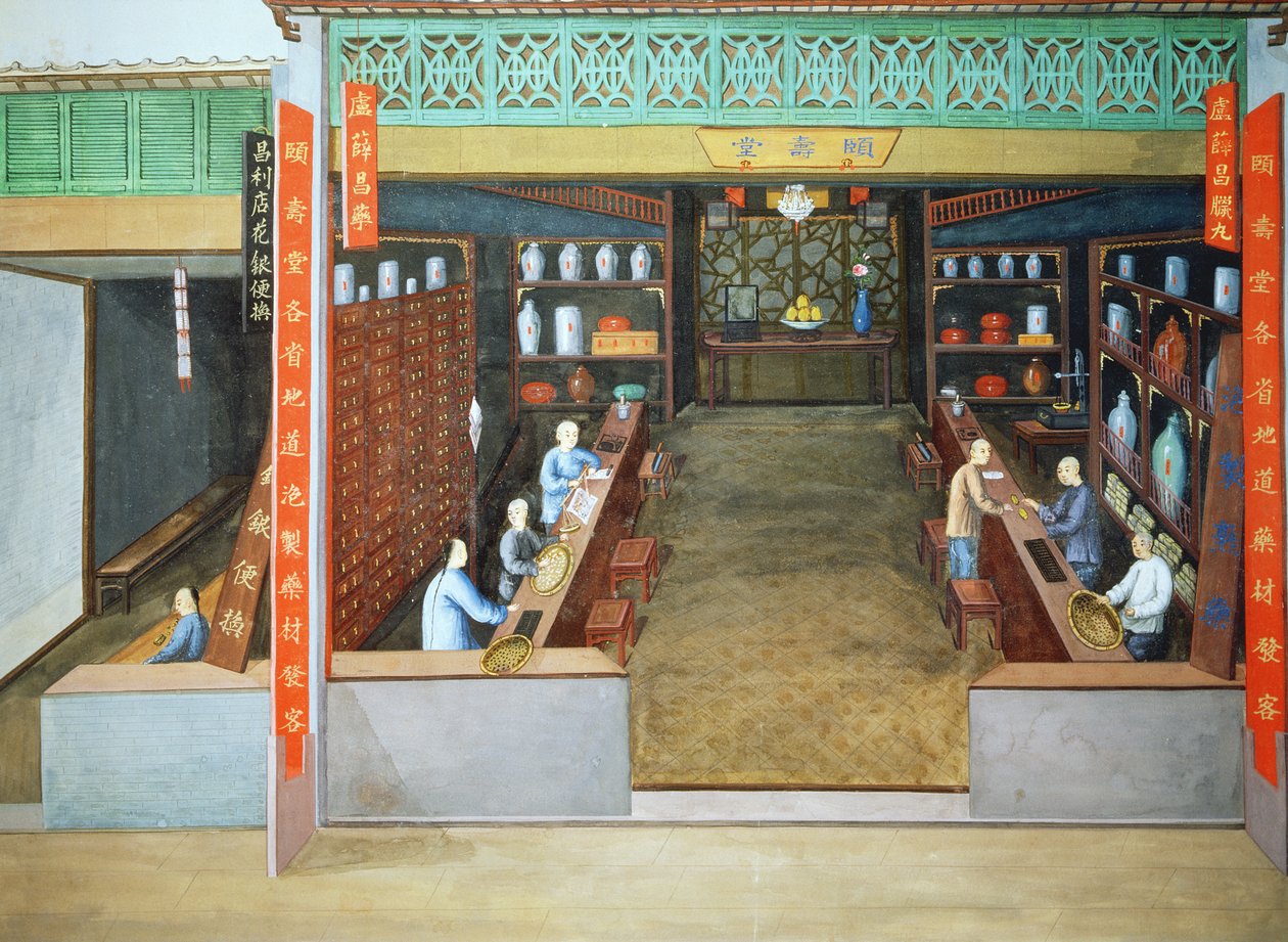 Kínai gyógyszer, 1830 körül (gouache, papír) alkotó: School Chinese