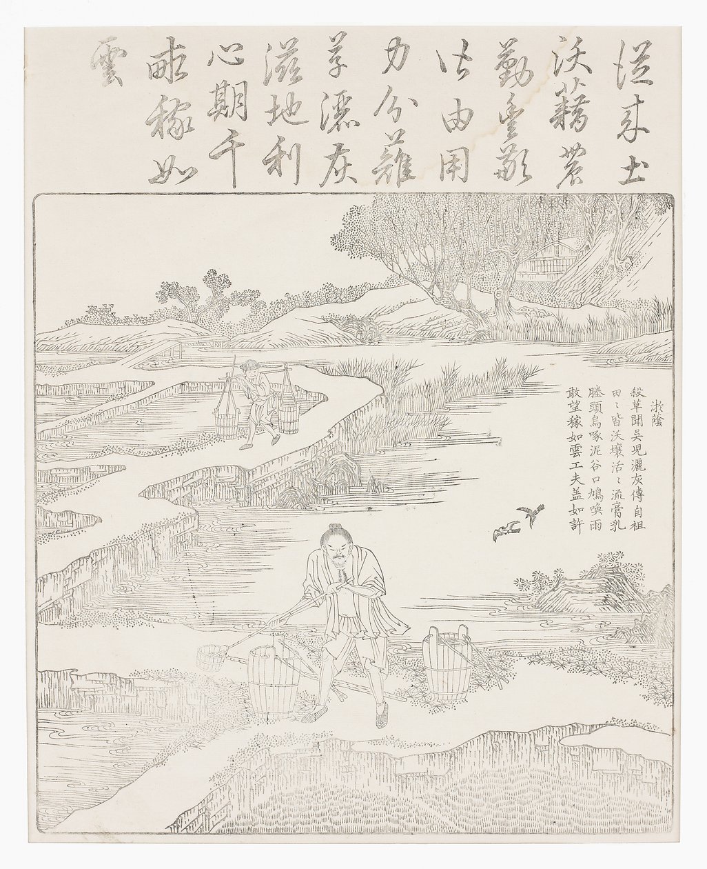 A rizspalánták trágyázása alkotó: School Chinese