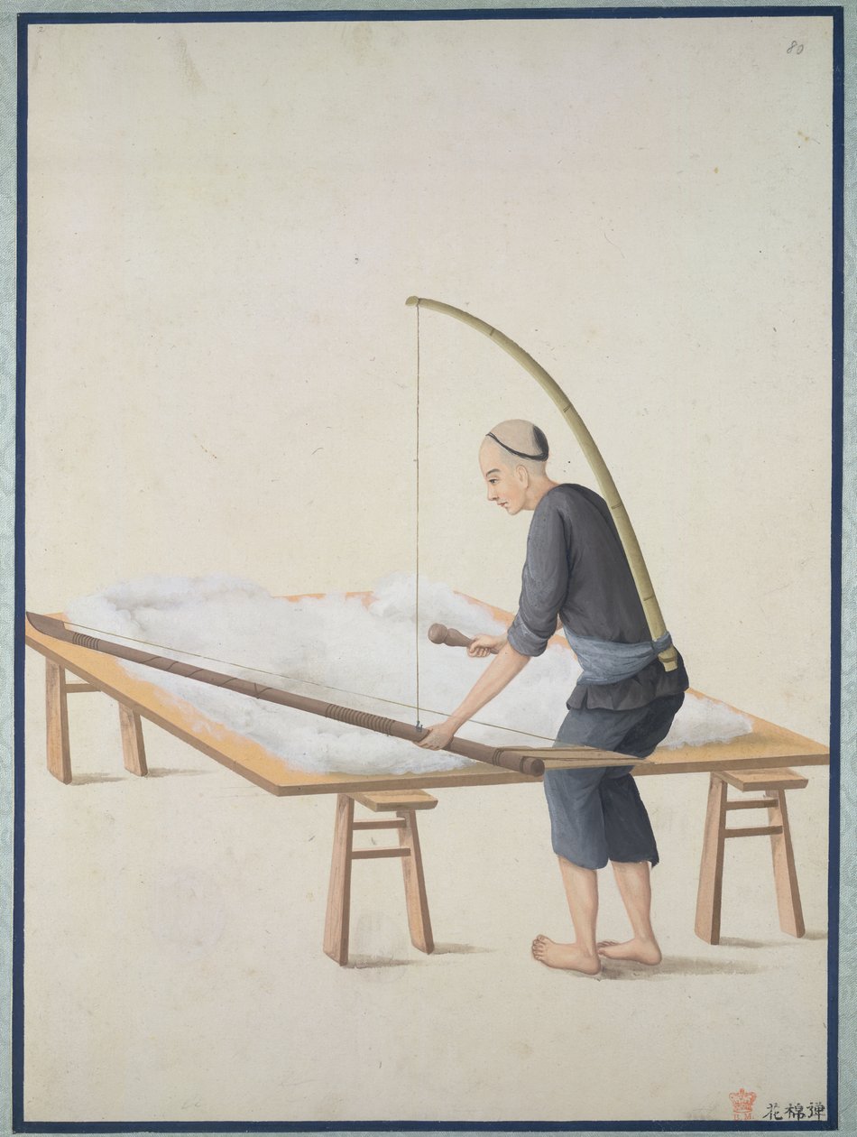 Bolyhos pamut, paplanokhoz, 1800 körül (akvarell, papír) alkotó: School Chinese