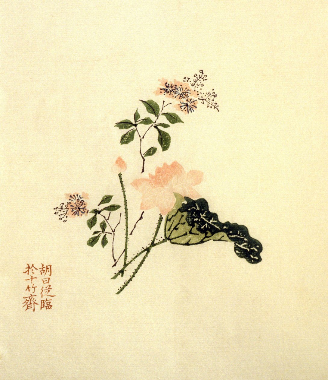 Lótuszvirág - tinta papíron, ChineLotus virág - tinta papíron, Kína alkotó: School Chinese