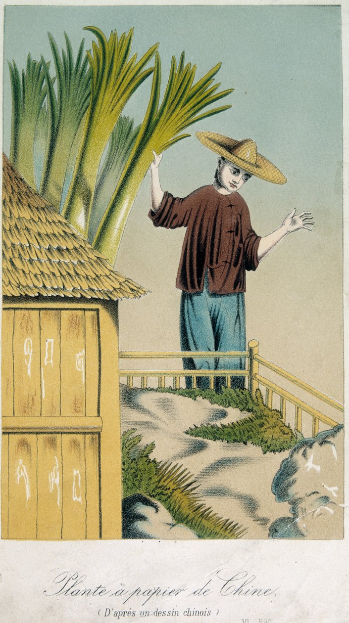 Kínai papírgyár (színes litho) alkotó: School Chinese