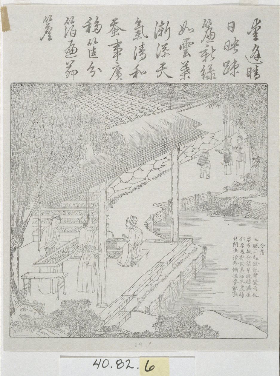 Fametszet készlet, selyemkultúra alkotó: School Chinese