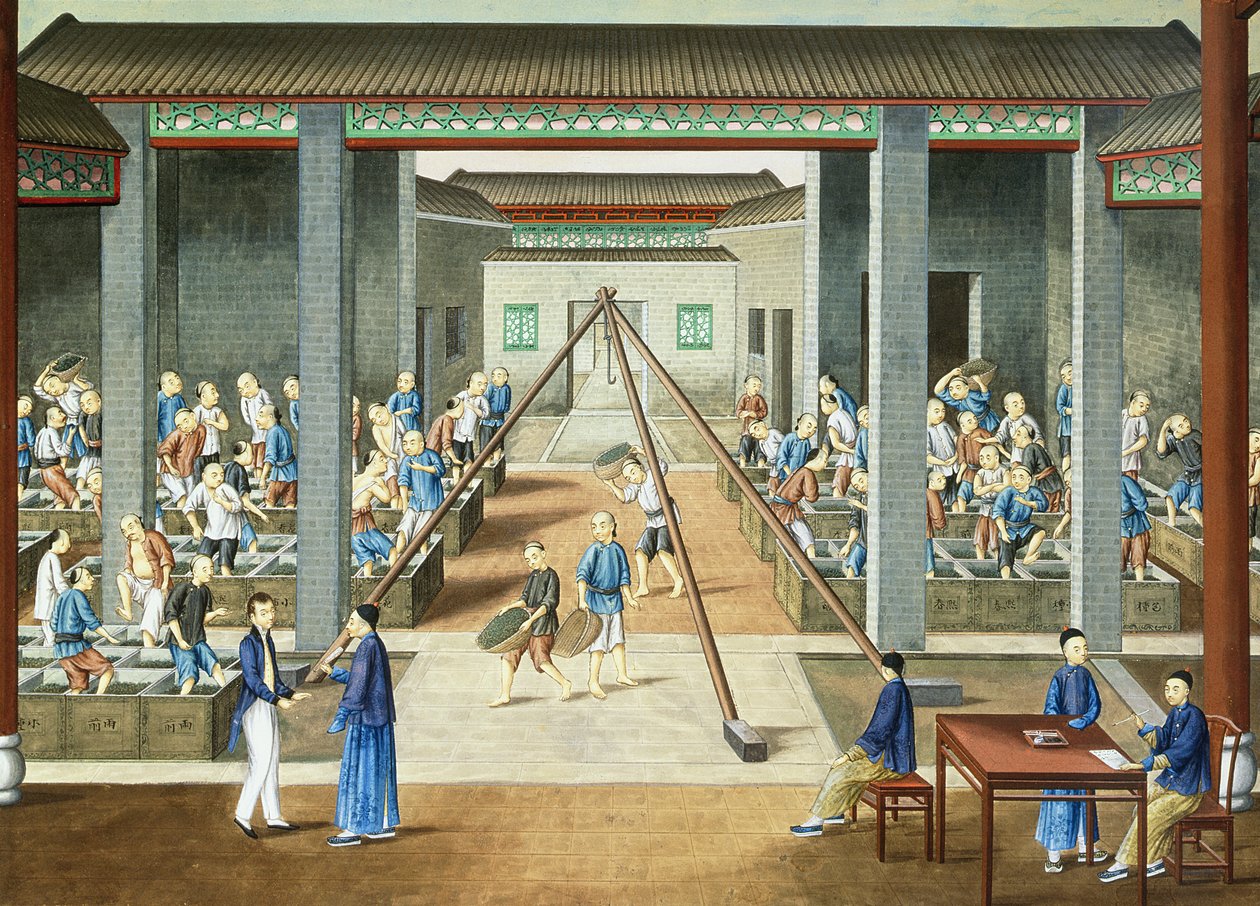Teakultúra: tea mérlegelés és vásárlás (gouache, papír) alkotó: School Chinese