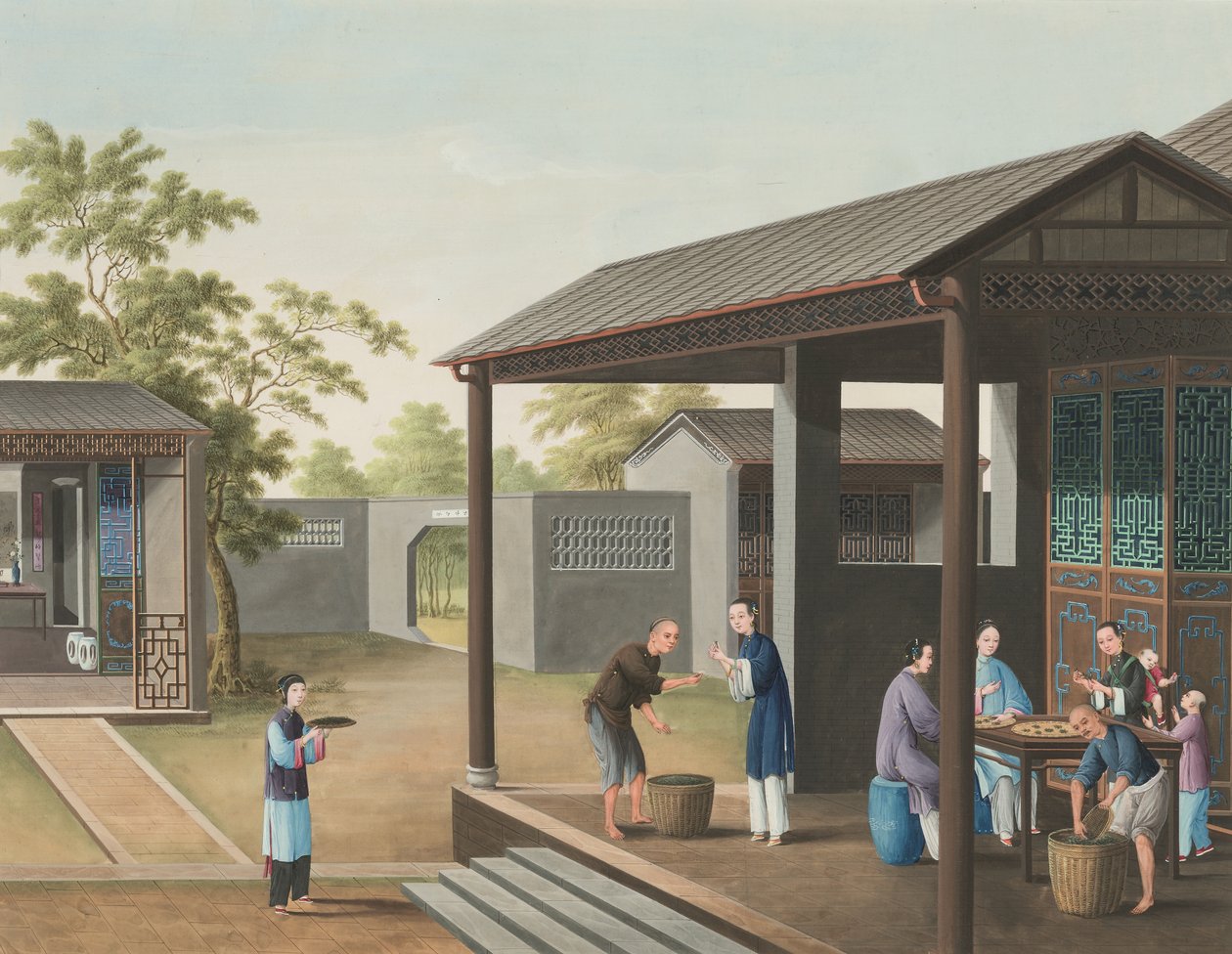 Teakészítés, 1820 körül (testfesték és aranyfesték selyemre, papírra fektetve) alkotó: School Chinese