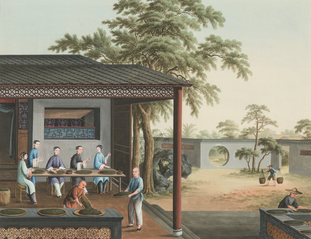 Teakészítés, 1820 körül (testfesték és aranyfesték selyemre, papírra fektetve) alkotó: School Chinese