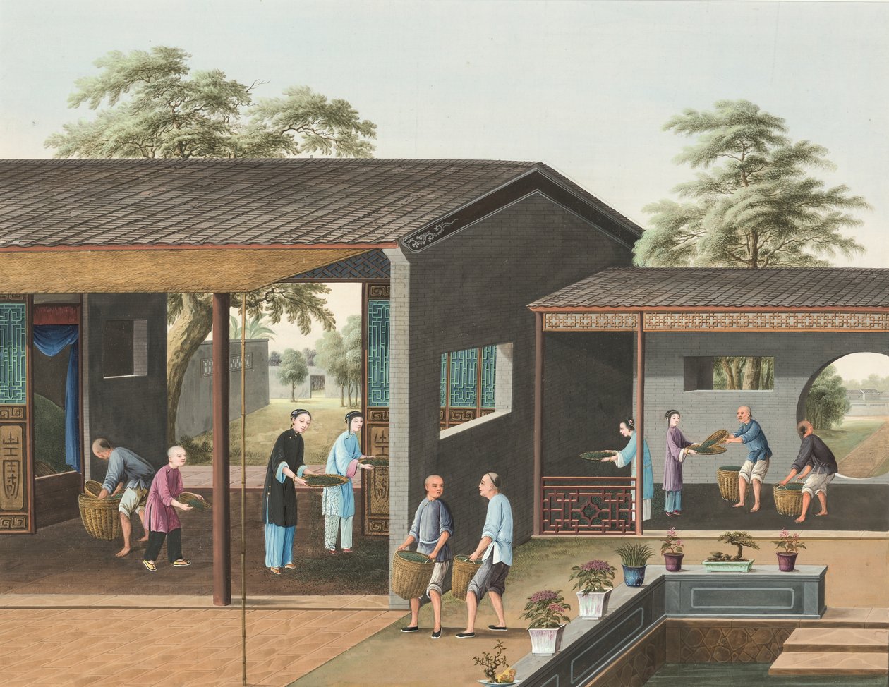 Teakészítés, 1820 körül (testfesték és aranyfesték selyemre, papírra fektetve) alkotó: School Chinese