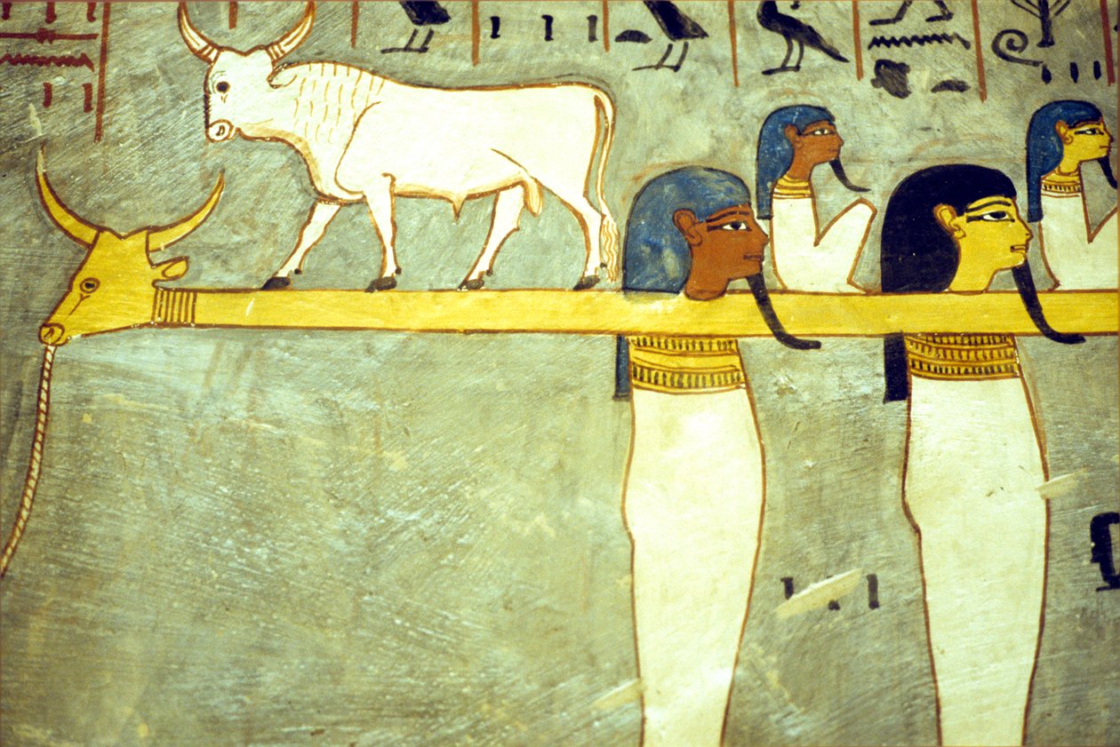 Ókori Egyiptom, festmény, Az alvilág istenei Hathorhoz kötve, isteni tehén, a napbárka vontatása, I. Ramszesz sírja, Théba, Théba alkotó: School Egyptian