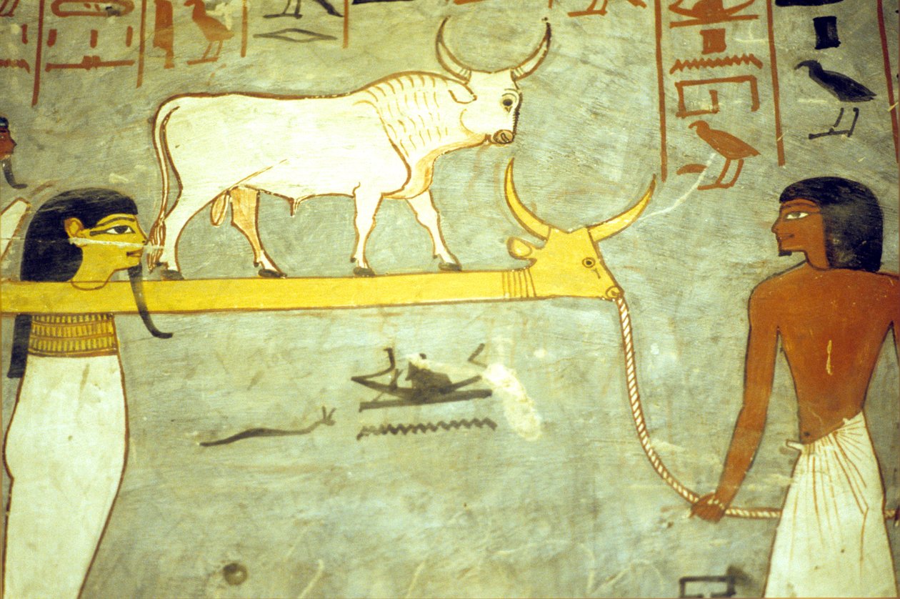 Ókori Egyiptom, festmény, I. Ramszesz sírja, az alvilág istenei Hathorhoz kötve, napbarakkot vontatva alkotó: School Egyptian