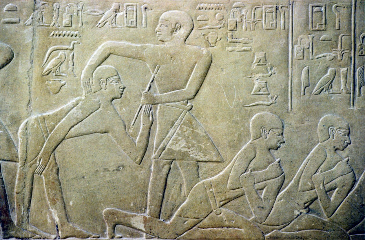 Ókori Egyiptom, Relief, Falusi vének kénytelenek beismerni hibás adóbevallásukat a hivatalnokoknak, Merereuka sírja, 6. din (fotó) alkotó: School Egyptian