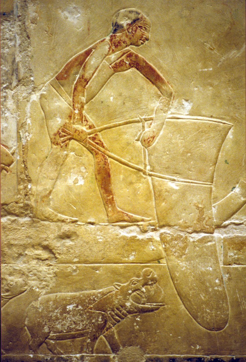Ókori Egyiptom, falfestmény, Mastaba/Tomb of Idout, Szakkara, 6. dinasztia, halászat csapdahálóval, víziló (fotó) alkotó: School Egyptian