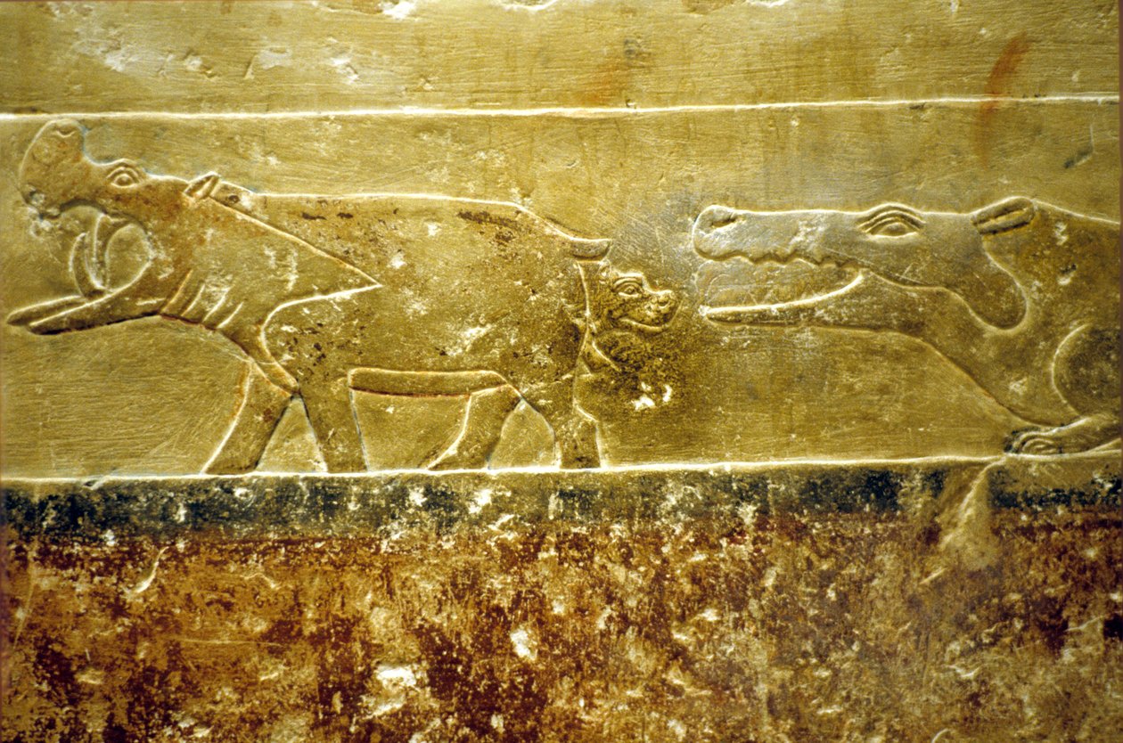 Ókori Egyiptom, falfestmény, Mastaba/Tomb of Idout, Szakkara, 6. dinasztia Víziló szül és áldozatul esik a várakozó krokodilnak (fotó) alkotó: School Egyptian
