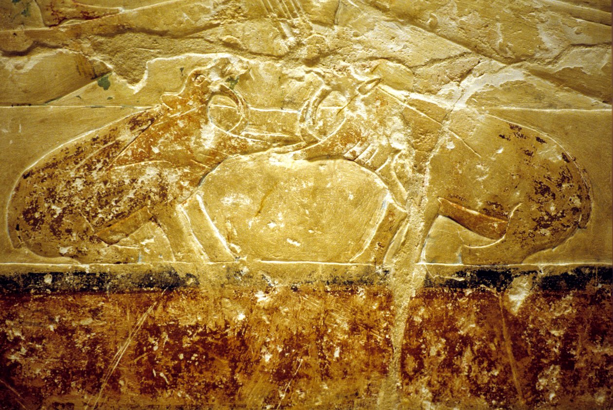 Ókori Egyiptom, Falfestmény, Mastaba/Tomb of Idout, Szakkara, 6. dinasztia, Két víziló harcol (fotó) alkotó: School Egyptian