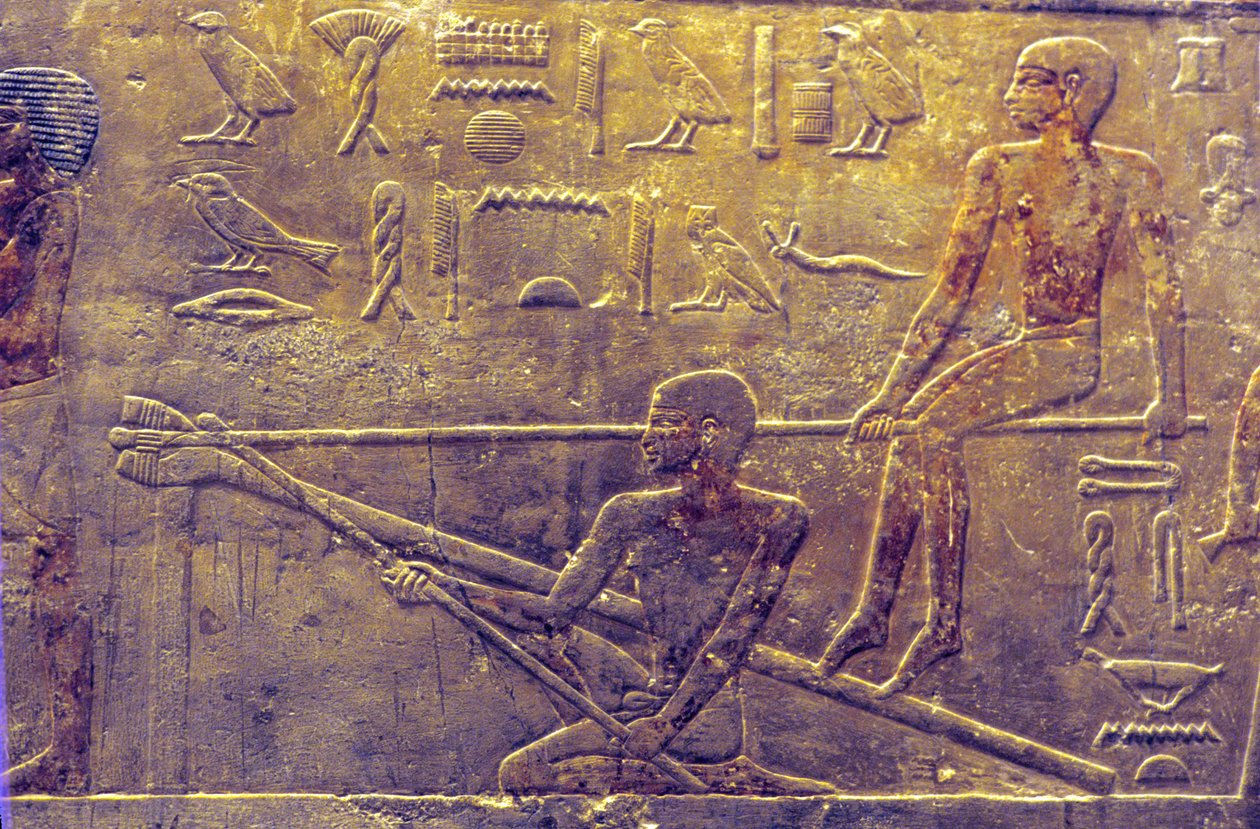 Ókori Egyiptom, Falfaragás/festészet, Mastaba/Ti sírja, Szakkara, 5. dinasztia, Hajóépítés (fénykép) alkotó: School Egyptian