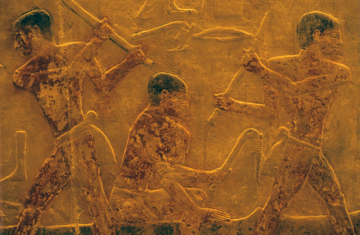 Ókori Egyiptom, Falfaragás/festészet, Mastaba/Ti sírja, Szakkara, 5. dinasztia, Hajóépítés (fénykép) alkotó: School Egyptian