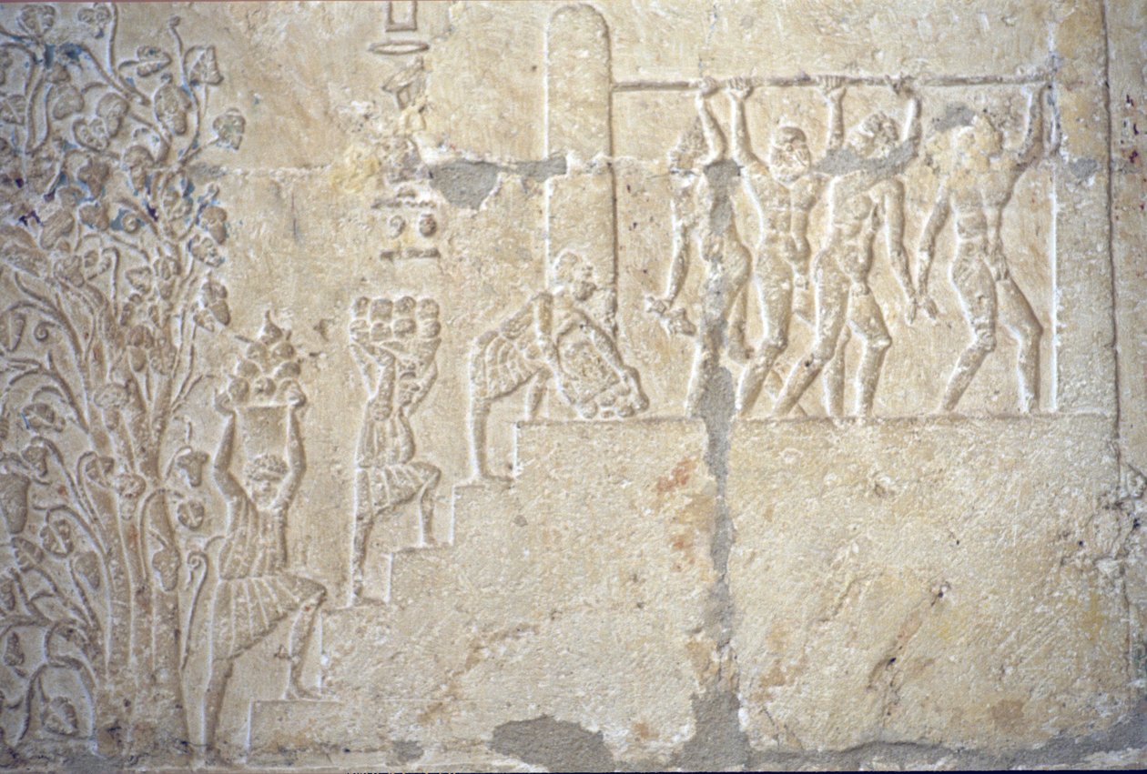 Ókori Egyiptom, Falfaragás/festés, Petosiris sírja, Tuna el Gebel, ie 300, Borszüret, Borkészítés, Borprés (fotó) alkotó: School Egyptian