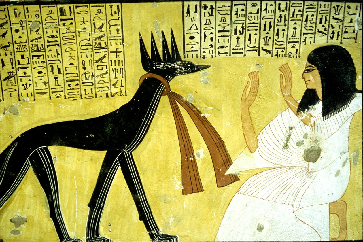 Ókori Egyiptom, falfestmény Inherkhau sírja, Théba, Nemesek sírja, 20. dinasztia, Inherkhau imádja a sakál isteneket (fotó) alkotó: School Egyptian