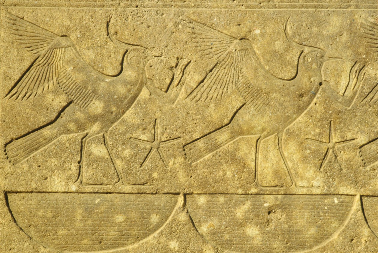 Ókori Egyiptom, falfestmény/faragás, Lapwings, Egyiptom különböző törzseinek ábrázolása, Karnaki templom, Luxor (fotó) alkotó: School Egyptian
