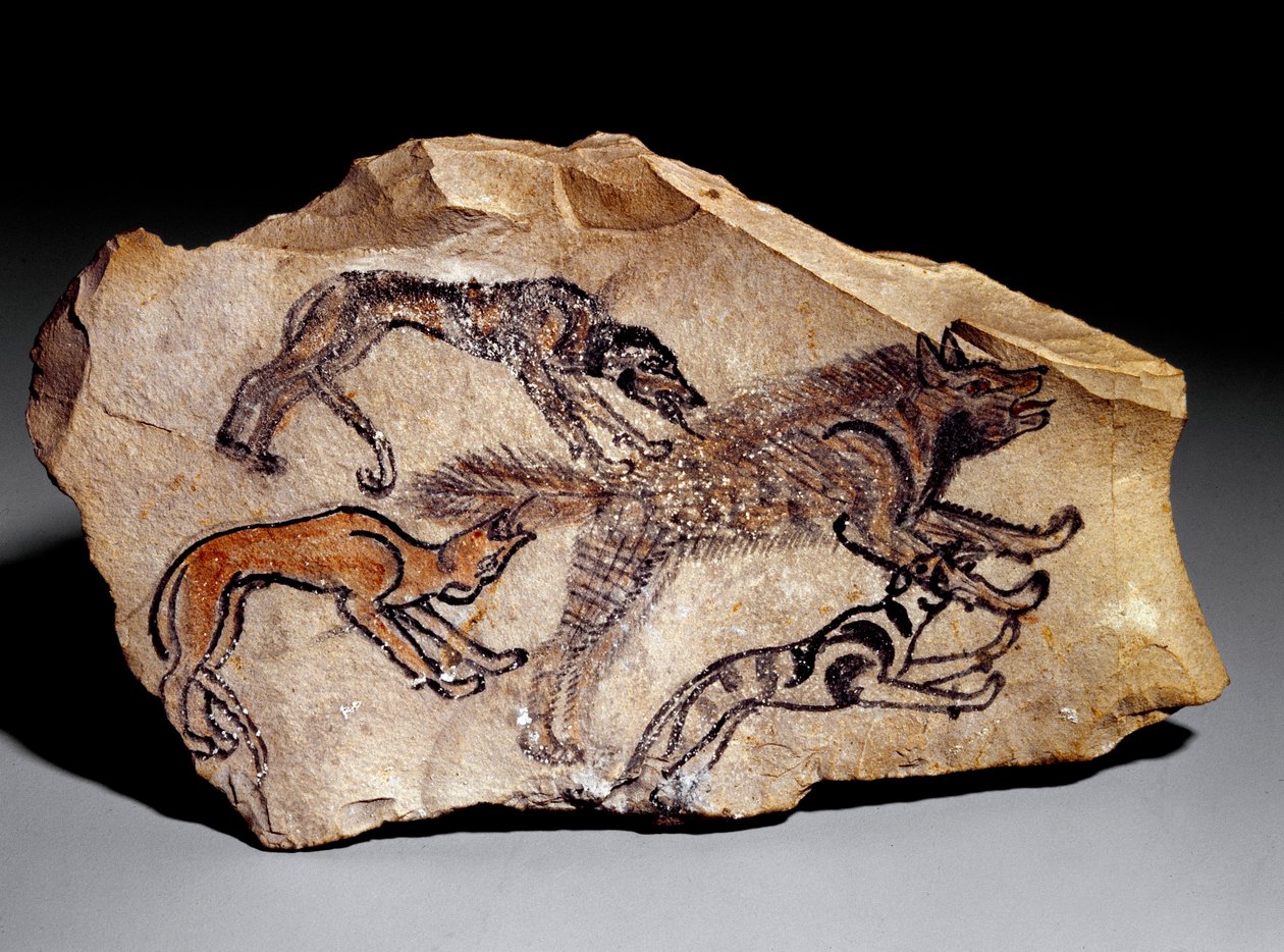 Hiénára vadászó kutyák (Kővésés, ie 1300-1100 körül) alkotó: School Egyptian