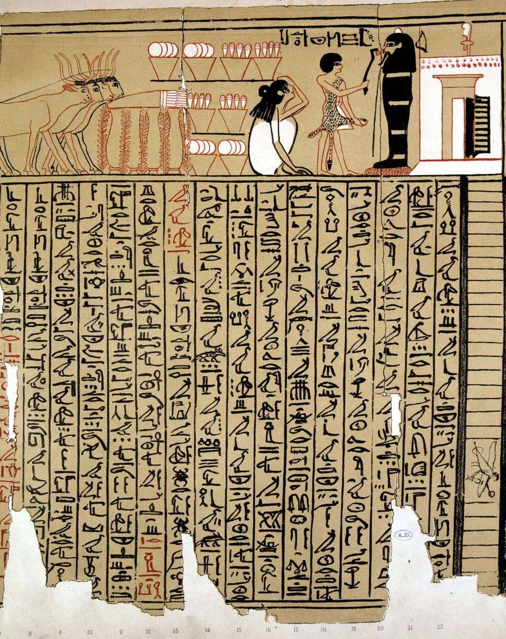 Egyiptomi hieroglifák alkotó: School Egyptian