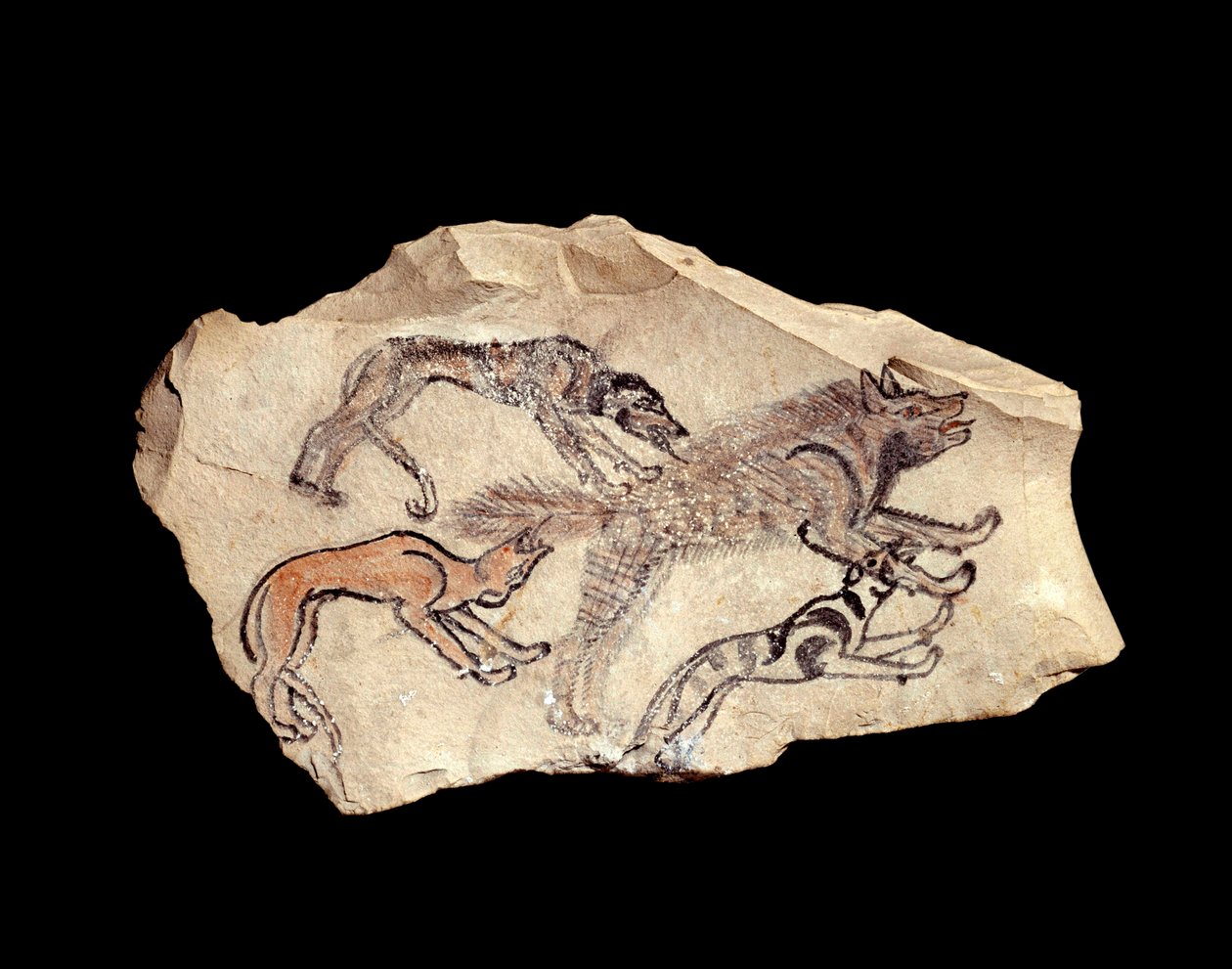 Egyiptomi ókor: ostrakon (vagy ostracon) (többes számban: ostraca vagy ostraka) (kerámia) mészkőben, három hiénára vadászó kutyát ábrázol. Kr.e. 1300-1070. Nap. 0,15x0,08 m Deir el Medinehtől. Párizs, Louvre Múzeum alkotó: School Egyptian