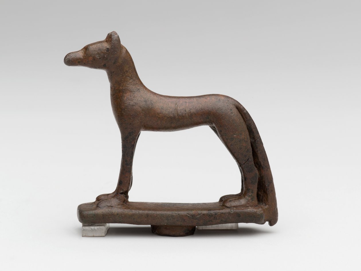 Sakál vagy kutya (bronz) alkotó: School Egyptian