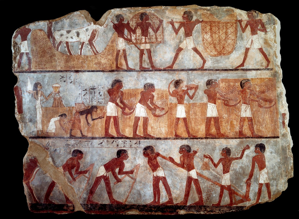 Vetés és visszaköltözés Unsou írnok sírjából (freskó) alkotó: School Egyptian