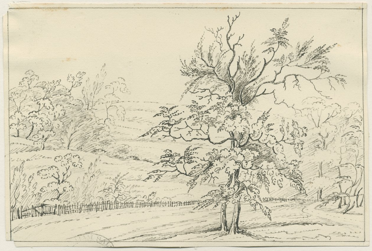 Cannock Chase: toll- és ceruzarajz, nd [?19. század] (rajz) alkotó: School English