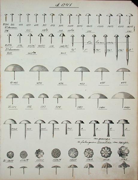 Szögek, szegek és csapok, háztartási cikkek és szerelvények kereskedelmi katalógusából, 1890-1910 körül (litográfia) alkotó: School English