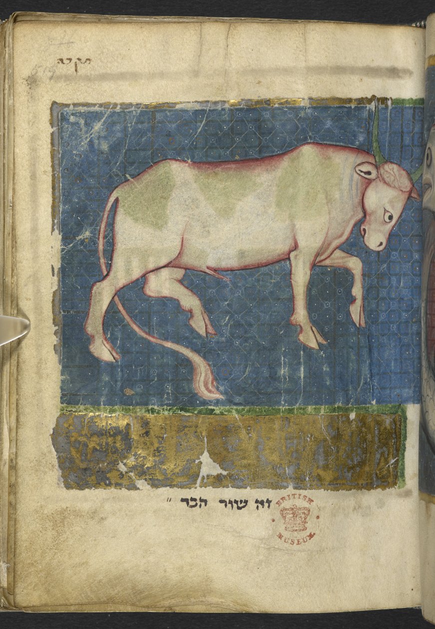 Adja hozzá az MS 11639 f.519t egy bikát, egy bibliai és egyéb szövegek vegyes könyvéből ("The Northern French Miscellany" vagy korábbi "The British Museum Miscellany"y alkotó: School French