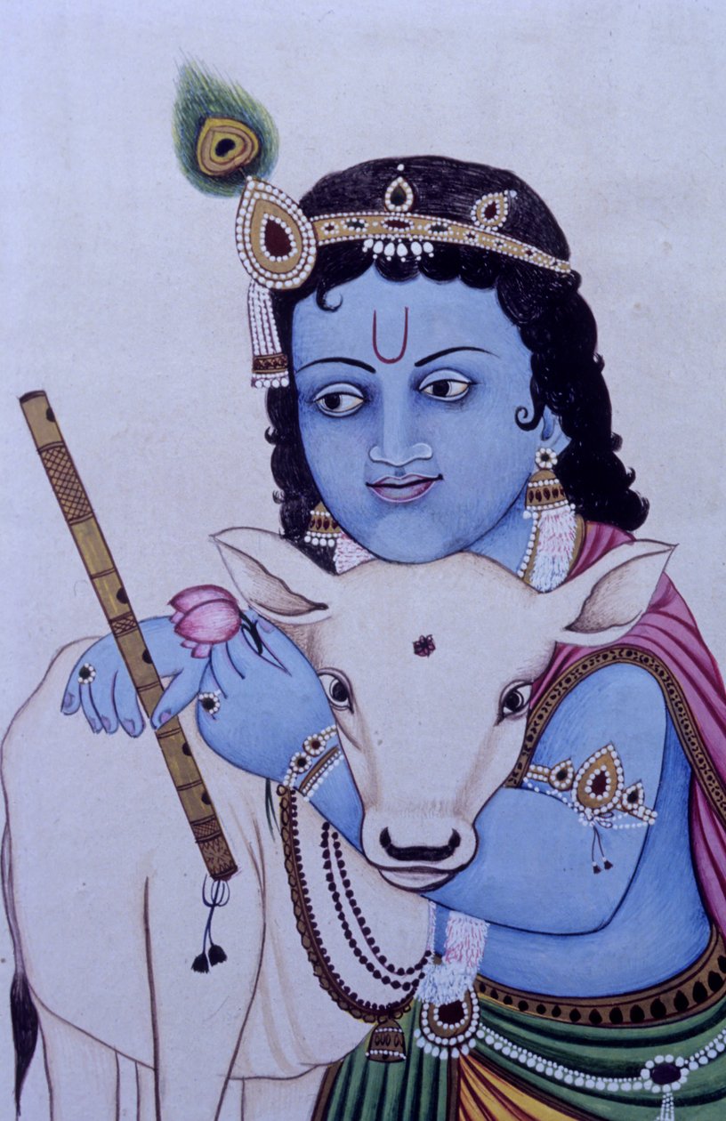 Lord Bal Krishna tehénnel a miniatűr festményen, papírra festve alkotó: School Indian