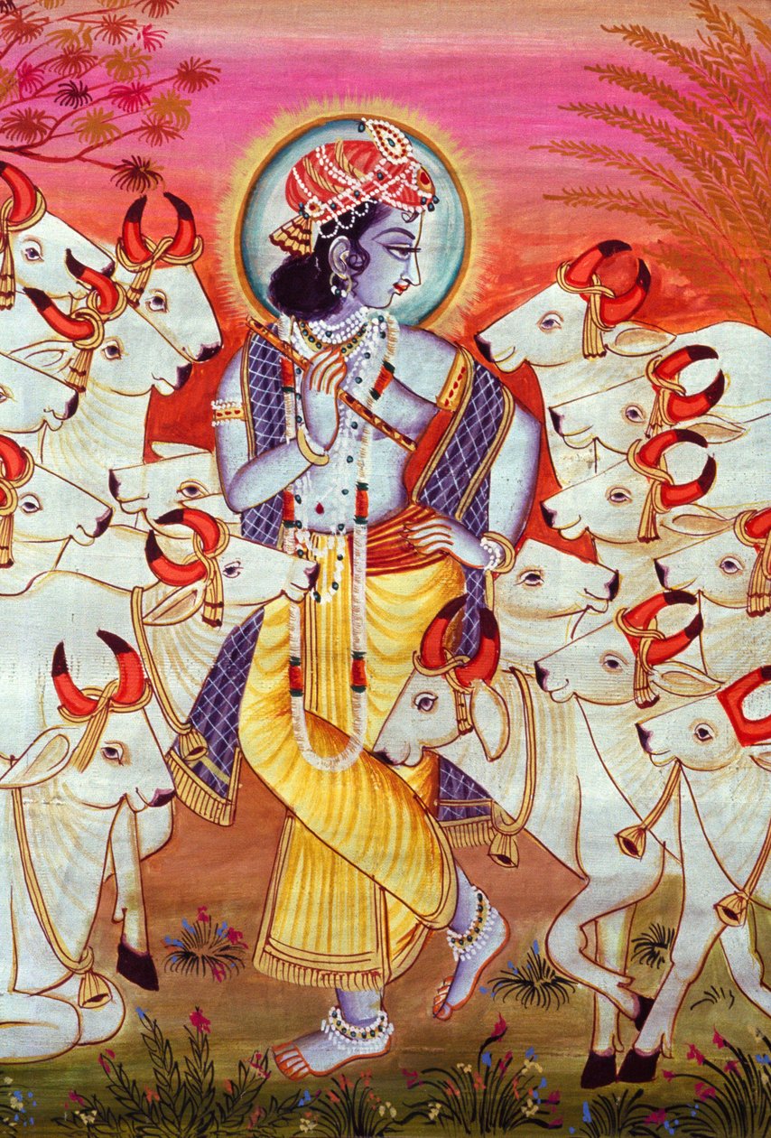 Lord Krishna és tehenek Miniatűr festmény alkotó: School Indian