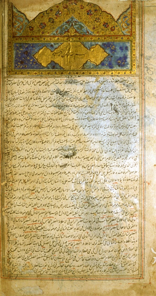 Oldal az orvostudomány kánonjából (al-Qānūn fī aṭ-Ṭibb), Avicenna alkotó: School Iranian