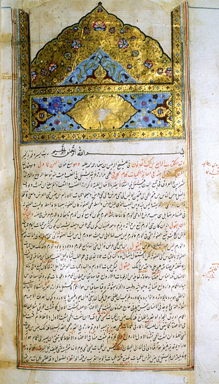 Oldal az orvostudomány kánonjából (al-Qānūn fī aṭ-Ṭibb), Avicenna alkotó: School Iranian
