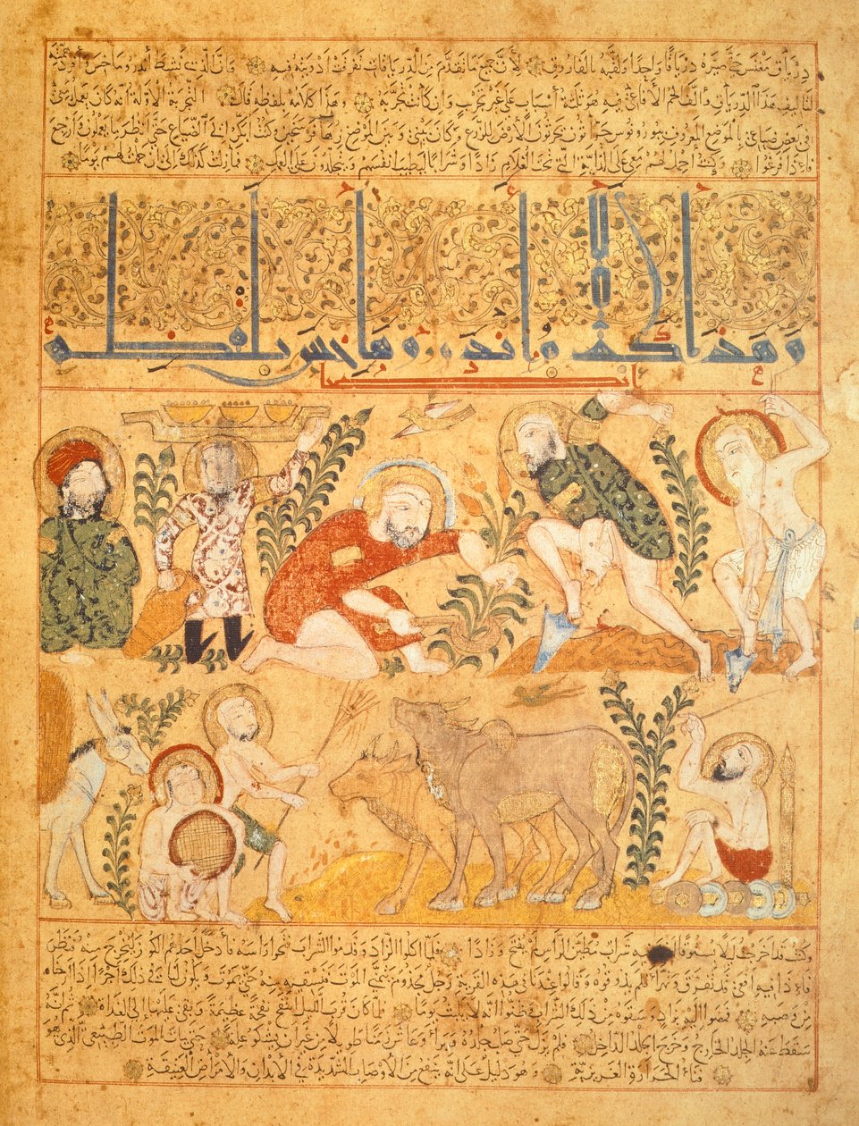 Andromenadros, a gyógyszerész, a mezőgazdasági munkákat vizsgálja, illusztrációja a „Kitab al-Diryaq” ellenszerek könyvéből, Pseudo-Gallen (vellum) alkotó: School Iraqi
