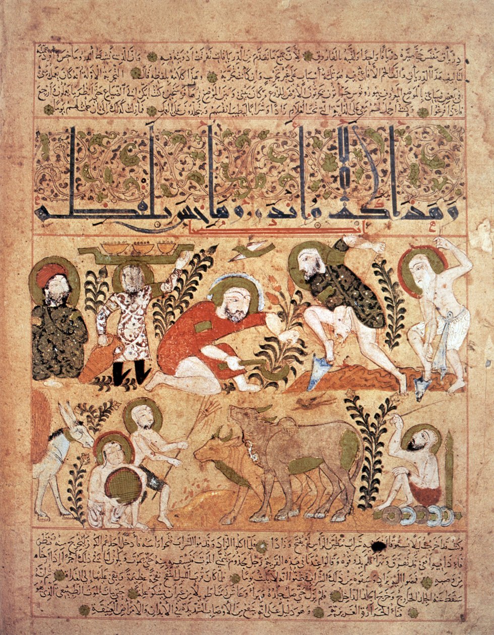 Illusztráció a „Kitab al-Diryaq” ellenszerek könyvéből, Pseudo-Gallen (vellum) alkotó: School Iraqi