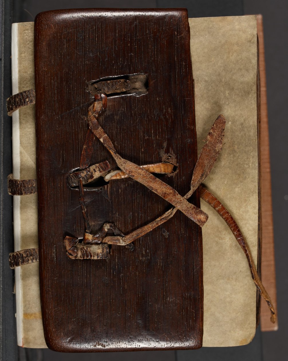 MS CCC 282 Corpus Irish Missal Book Binding, c.1120-30 (tölgy, bőr és pergamen) alkotó: School Irish
