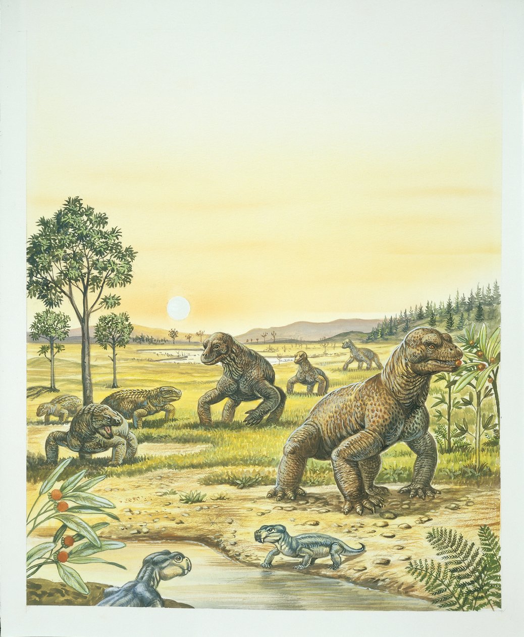 Anomodonták, előtérben, balra a Pareisaurusok, jobbra a Dinocephaliák, paleozoikum, perm időszak (színes litográfia). alkotó: School Italian