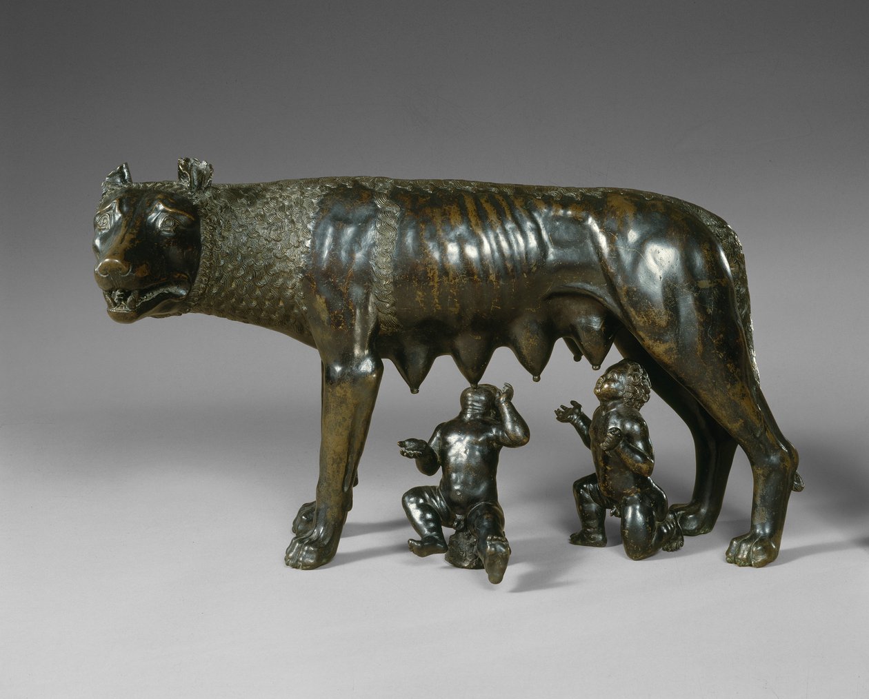 A Capitolium farkasa Romulus és Remus szoptatása alkotó: School Italian