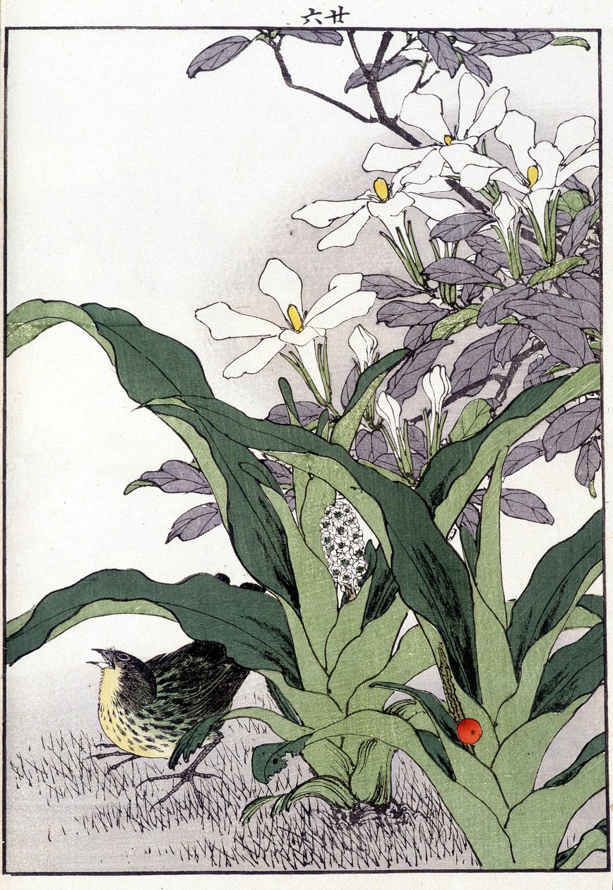 Madár a virágokban - japán nyomtatás alkotó: Japanese School