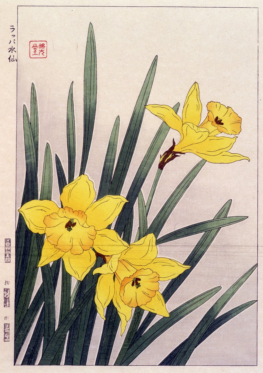 Bezárás Nárciszok - japán nyomat alkotó: Japanese School