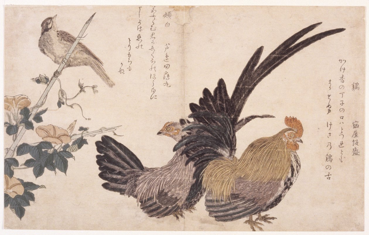 Kakas, Tyúk és Madár alkotó: School Japanese