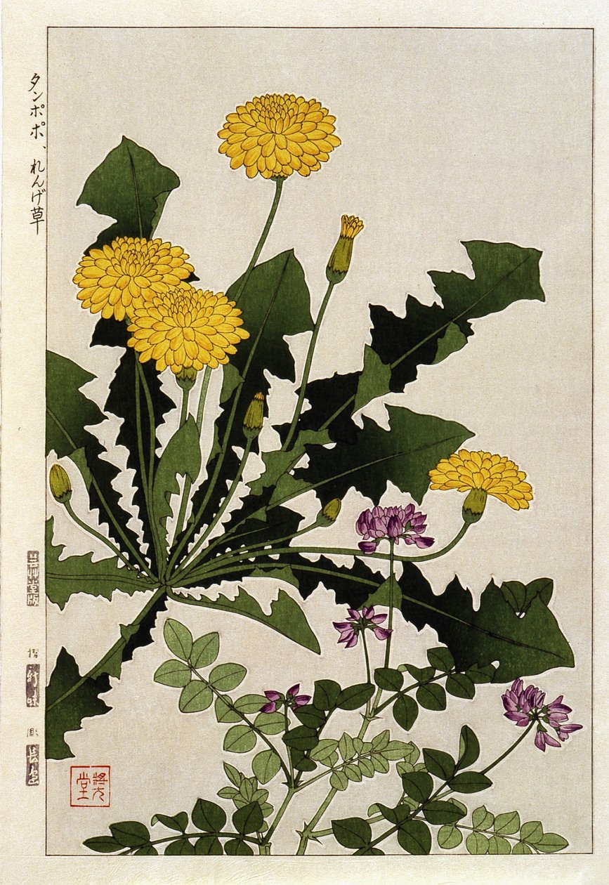 Pitypang virágok - japán nyomat alkotó: Japanese School