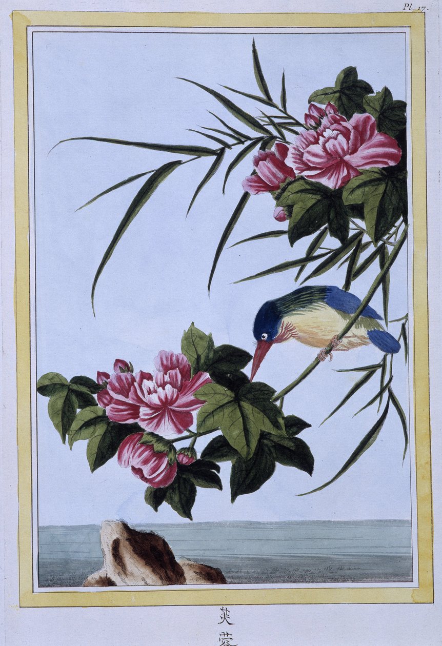 Kingfisher - japán nyomat alkotó: Japanese School