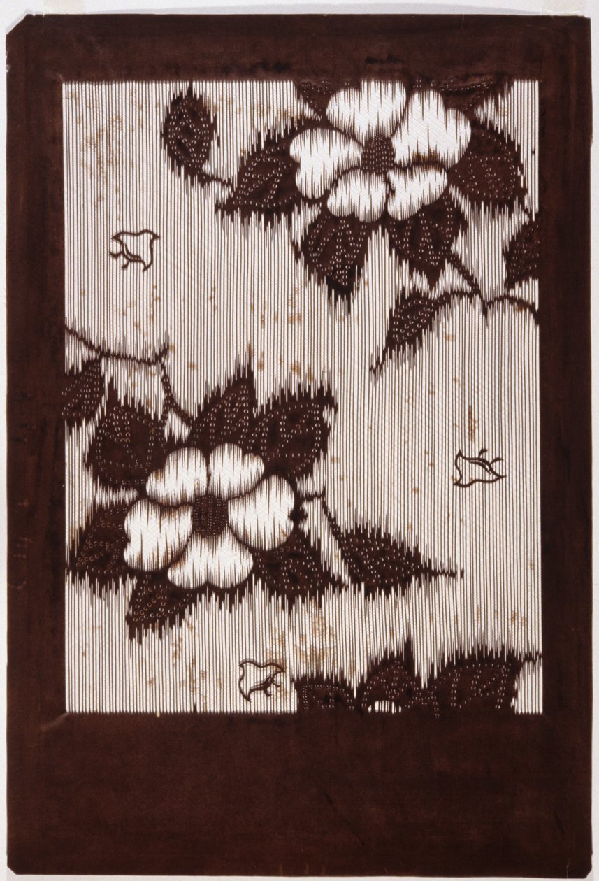 Stencil: Hibiszkusz és Sparrow alkotó: School Japanese