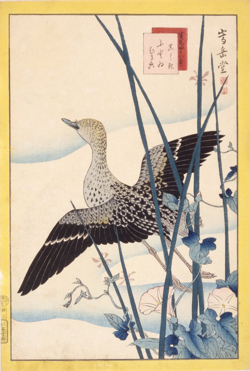 Vadkacsa alkotó: School Japanese