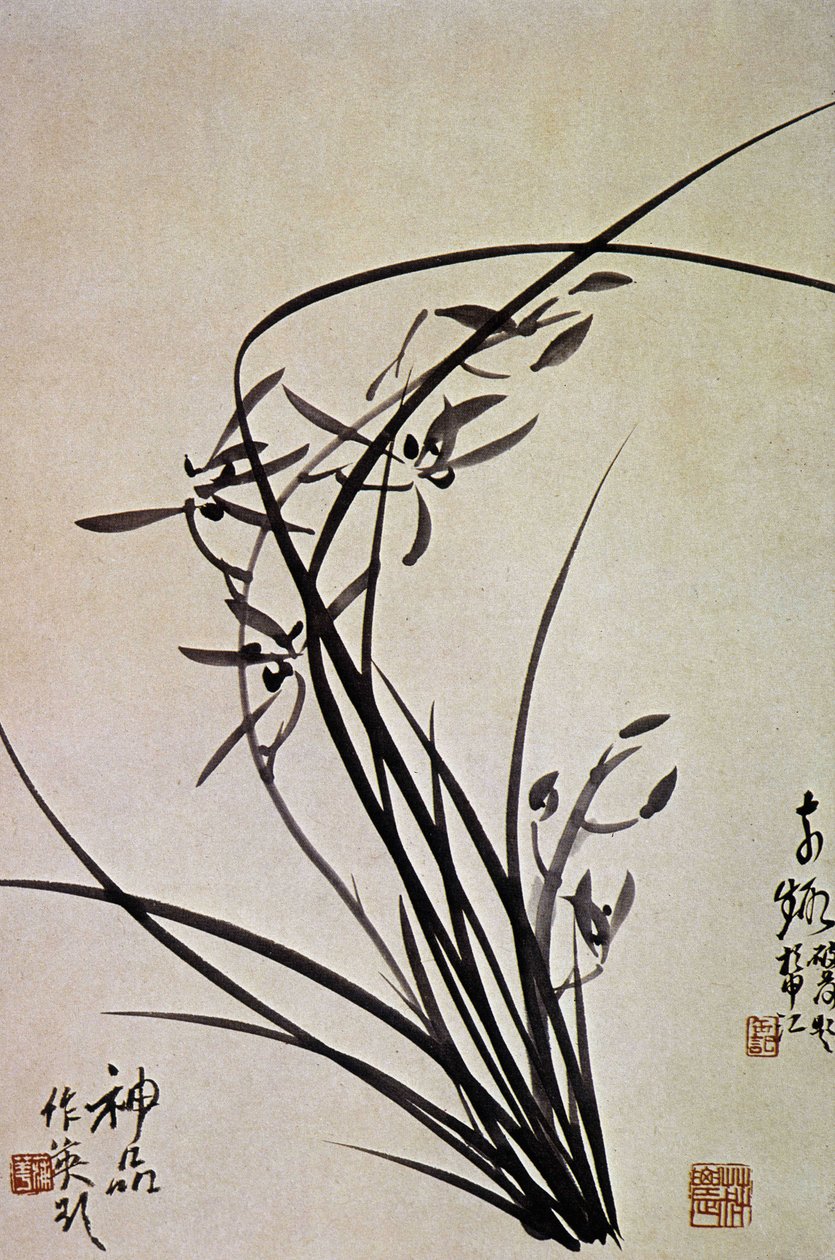 Orchideák. A YI-dinasztia koreai lenyomata. alkotó: School Korean