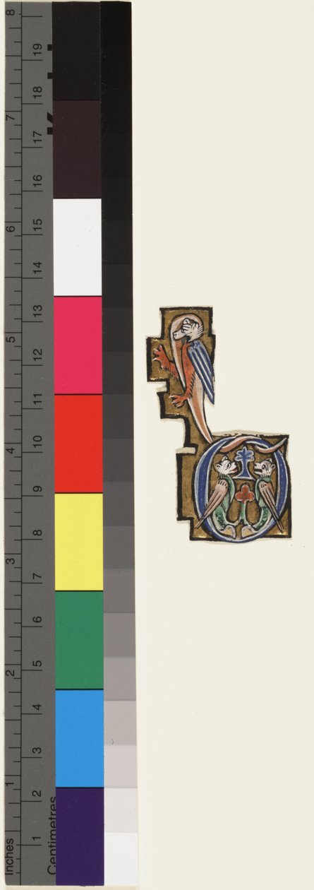 D kezdőbetű, zsoltárórákból, 1270 körül (arany és tempera pergamen) alkotó: School Mosan