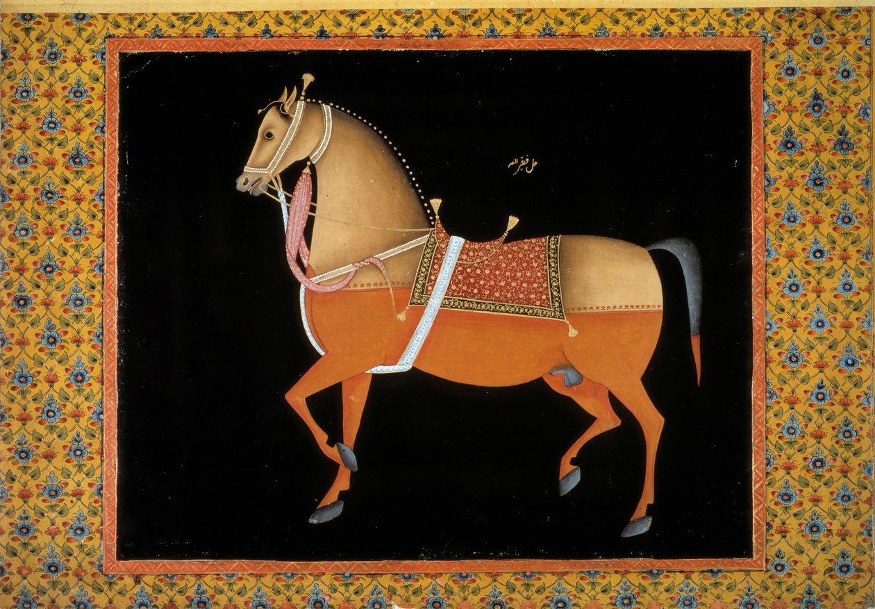 Moghol művészet: mén ábrázolása. 18. századi gouache. Paris, B.N. alkotó: School Mughal